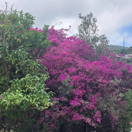 La Casa Di Nonna Lorenna * Alassio